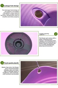 Pot de fleurs suspendu en plastique coloré P480 avec chaîne métallique et trou de drainage pour plantes rampantes - Product Image 4