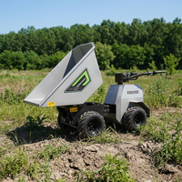 Minidumper Elettrico Rhinoceros 500kg con Batteria al Litio, Benna da 0,28 m³, Alta Efficienza 1600W, 1 Anno di Garanzia