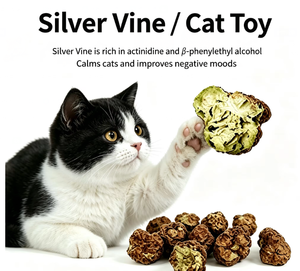 Nueces de Matatabi Secas OEM, Gomas de Silvervine, Juguetes para Gatos que Ayudan a Relajar y Aliviar la Ansiedad, Masticables Naturales para Limpiar los Dientes - Product Image 1