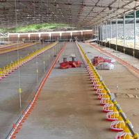 Système d'alimentation automatique en chaîne pour poulets en plastique, pour poules reproductrices, neuf et équipement agricole pour l'élevage en plein air