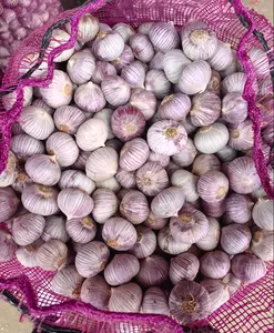 Ekspor kualitas tinggi ungu segar putih semanggi tunggal bawang putih Solo bawang putih kesepian grosir