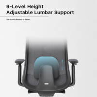 Chaise de bureau ergonomique en maille avec dossier double segmenté, chaise d'ordinateur pivotante à dossier haut améliorée avec support lombaire réglable