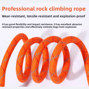 Laisse de dressage rétractable et réfléchissante personnalisée pour chiens de taille moyenne à grande, 1,5 m, poignée souple, 100 % nylon, pour <span class=keywords><strong>caniche</strong></span> - Product Image 4