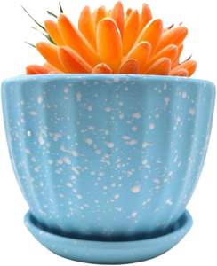 Maceta Rústica de Cerámica Esmaltada de 4 Pulgadas con Orificio de Drenaje, Duradera y Ecológica para Suculentas y Cactus, Estilo Rústico para Interiores/Exteriores - Product Image 1