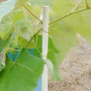 5/16 Inch 8mm Round Fiberglass <b>Rod</b> for Greenhouse - Product Image 5