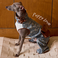 Combinaison élégante pour chien en denim coton et polyester, imprimé étoiles, avec garniture en cuir, 4 pattes, intégrale, pour Greyhound Whippet, coupe ajustée