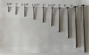 Clous Communs 1 Pouce 2 Pouces 2,5 Pouces 3 Pouces 4 Pouces Polis, Fabricant Chinois de Clous en Fer Ordinaires, Clous à Tête Ronde - Product Image 2