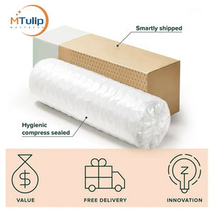 Toptan ikiz çift kraliçe kral karyola iskeleti yatak Roll up ile kutuda lüks yatak soğutma fanı cep yaylı şilte - Product Image 6