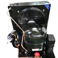 Unité de condensation Secop 3/4HP, chambre froide, mini compresseur alternatif OUBF, réfrigérateur commercial, congélateur à marche libre, moteur 50/60hz