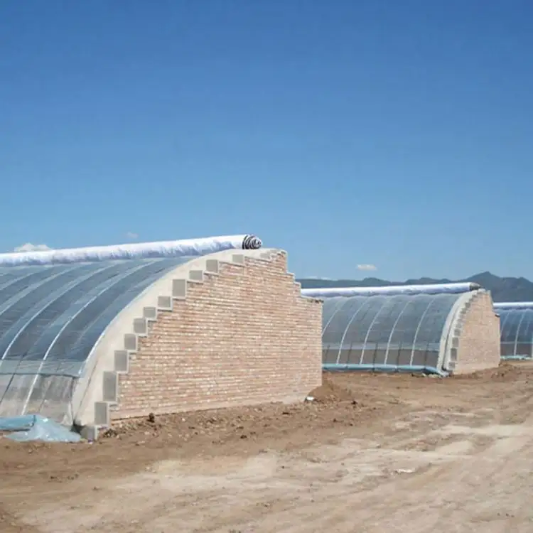 China Factory Gute Qualität Mini Passive Solar Glashaus Gewächshaus