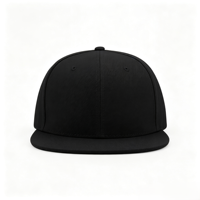 Casquette de baseball unisexe réglable à 6 panneaux, visière plate, imperméable, style sportif, couleur unie, vierge, personnalisable avec logo, style hip-hop, plusieurs modèles