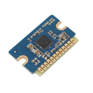 YL2020 20W + 20W Clase D 12V-24V <span class=keywords><strong>Mini</strong></span> módulo amplificador de potencia digital - Product Image 1