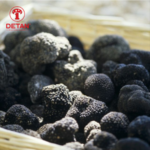 Detan-Detan Fresh Wild Black, trufa de comprador fresca para la venta - Product Image 3