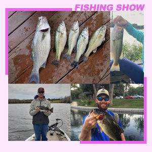 Spinpoler Soft Swimbait 2 "3" 4 "Leurre de pêche Jerk Shad Minnow <span class=keywords><strong>Drop</strong></span> <span class=keywords><strong>Shot</strong></span> Leurre Queue Fourchue Appât Double Couleur Shad Bass Trout - Product Image 6