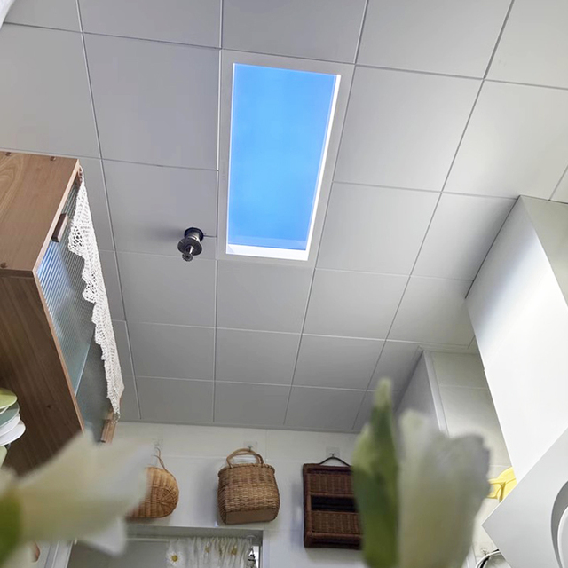 SUEZ Hight CRI Lamp Recessed Window Blue Sky Rooflight Faux LED Ceiling Virtual Skylight Panel Light