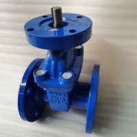 Vanne à vanne à cale assise résiliente en fonte ductile PN16 DN65 GGG50 avec siège EPDM ou NBR à bride ISO