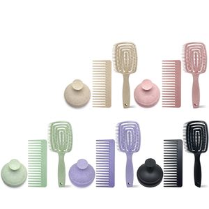 Juego de 3 cepillos desenredantes ecológicos de paja de trigo, cepillo masajeador para el cuero cabelludo, cepillo para champú, peine de dientes anchos, cepillo para cabello húmedo y seco. - Product Image 1