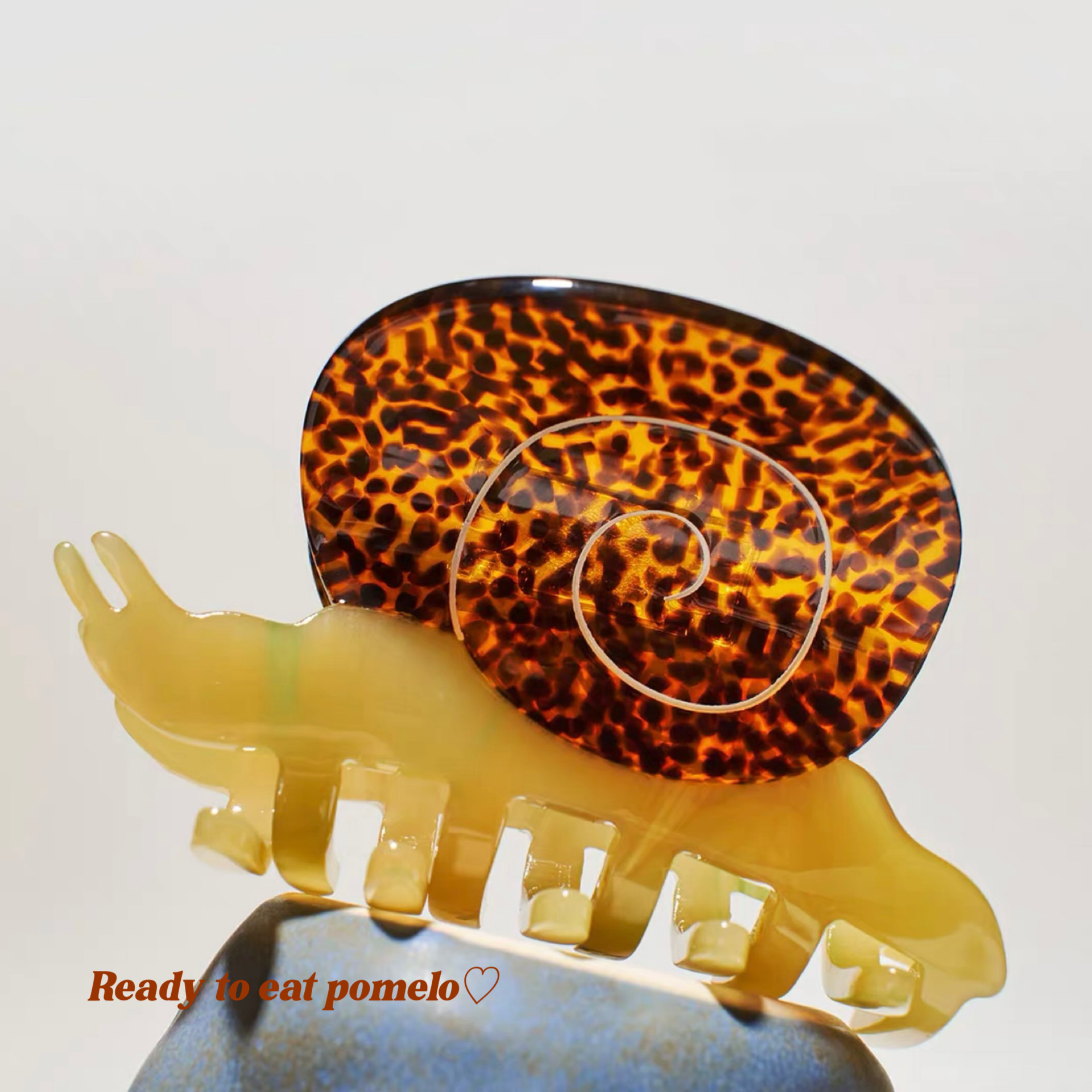Caracol leopardo 8,5 cm