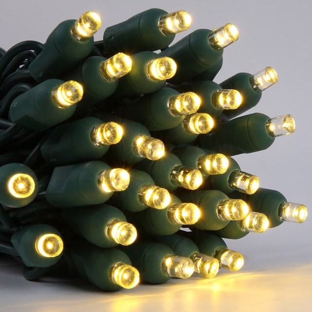 Waterproof 110V 5MM 50 Led 4 Inch Spacing Mini LED Christmas Wide Angle String Lights with US Coaxial Plug