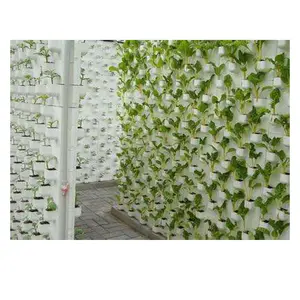 โรงงานโดยตรงอัตโนมัติ Fodder ระบบวัฒนธรรม Dwc Hydroponic