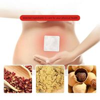 Livraison Gratuite Patchs Détox Naturels pour le Nombril à l'Armoise – Autocollants Abdominaux
