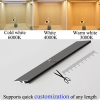 Bande lumineuse LED ultra-mince pour armoire profilée en aluminium montée en surface 45 degrés éclairage oblique avant lampe d'étagère cachée