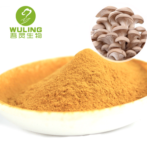 Pleurotus-Polvo de seta Ostreatus, de alta calidad, con aire seco - Product Image 6