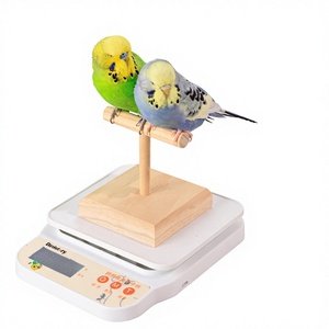 Bilancia Interattiva Speciale per Pappagalli, Supporto a T per Pesatura, Piattaforma di Pesatura da Tavolo - Product Image 1