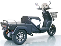 Tricycle adulte de 12 pouces, vélo cargo électrique 5000W, ne se retourne jamais, charges lourdes, tricycle électrique à trois roues, moto électrique EV