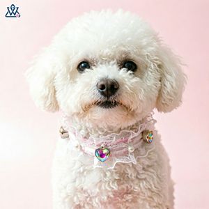 Wangwuwu Lace Pet Collar With Heart Rhinestone For Small <b>Dogs</b> And Cats Elegant Jeweled Neck Collar White Color - Product Image 4