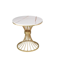 Table basse moderne en acier inoxydable doré, durable et écologique, garantie 3-5 ans pour la maison, l'hôtel et le salon