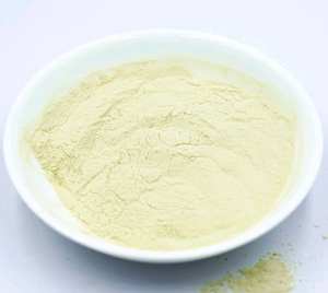 Bubuk Ekstrak <span class=keywords><strong>Chlorella</strong></span> (Faktor Pertumbuhan <span class=keywords><strong>Chlorella</strong></span> CGF ) OD1200 - Product Image 4