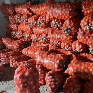 רשת בצל שקית מעגל פלסטיק 30 ק "ג 40 ק" ג 50 ק "ג שקית רשת עמיד צינורי חזק - Product Image 5