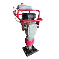 Compacteur vibrant professionnel à essence TN110 pour le remblaiement de fossés, la compactation des sols et des routes, matériel de construction