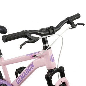 Bicicleta Infantil Clásica de Acero de Una Velocidad con Horquilla de Suspensión, Freno de Disco y Canasta de Plástico, Tamaños 16, 18, <span class=keywords><strong>20</strong></span>, 22 <span class=keywords><strong>Pulgadas</strong></span>, para Entrenamiento MTB - Product Image 5