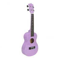 Pasokan Langsung Pabrik Alat Musik Ukulele Kayu Poli Ukulele Warna-Warni 21 Inci