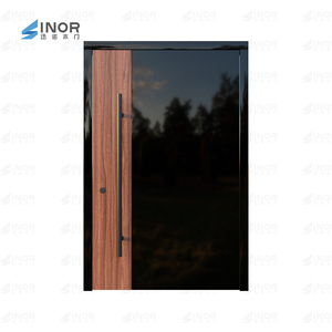 El diseño de rotura térmica de puerta pivotante moderna y energéticamente eficiente reduce la pérdida de calor en un 35% en climas fríos - Product Image 4