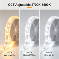 Lampu LED Strip CCT Putih Ganda 24V 2835 120LED/m Efek Air Mengalir Addressable Chasing Dimmable Fleksibel untuk Dekorasi Rumah