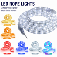 Guirlandes LED flexibles IP65, tube PVC transparent, multicolores RGB, commande par application/télécommande, garantie 2 ans, décoration de façade de bâtiment extérieur