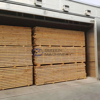 Pompe à chaleur, petit séchoir à bois, four à bois, séchoir à placage de bois, séchoir à copeaux de bois, machine de séchage du bois