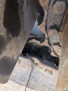 Pelle sur chenilles Caterpillar 345d d'occasion 45 tonnes prix raisonnable cat 345 d machinerie lourde 345dl - Product Image 6