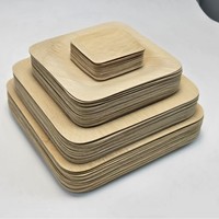 Assiettes jetables carrées en fibre de bambou écologiques et compostables pour le camping, ensemble de vaisselle légère et biodégradable