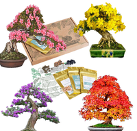 Produit de jardinage en gros Kit d'arbre bonsaï Ensemble d'outils pour bonsaï Kit de jardinage d'intérieur Kit de démarrage pour bonsaï