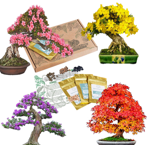 Venta al por mayor de productos de jardinería Bonsai Tree Kit Bonsai Tool Set Interior Jardinería Kit Bonsai Starter Kit - Product Image 1