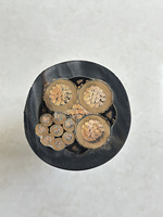 Câble blindé métallique en caoutchouc HUAQI MCPT 3x95mm²+1x50mm²+8x4mm² 1.9/3.3kV pour connexion d'alimentation des cisailles et équipements minières