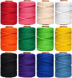 Cordon en coton naturel de 3 mm, 12 rouleaux, 4 brins, ficelle colorée pour travaux manuels, suspensions murales, porte-plantes, œuvres d'art - Product Image 1