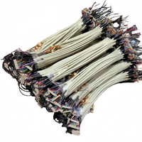 Câble LVDS personnalisé JAE FI-X30HL 30 broches vers Hirose DF13 40 broches pour module de transmission d'image de drone et système FPV, conception légère
