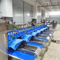 Prix compétitifs pour les équipements automatiques de tri et de pesage/gradation des fruits.