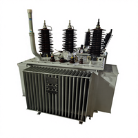 Transformador trifásico de baja pérdida, anticorrosión, para exteriores, con tanque corrugado y lleno de aceite, para nuevas energías y conexión a red.