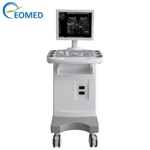 Échographe BW1100, équipement de diagnostic maternité, appareil d'échographie pour usage hospitalier - Product Image 6